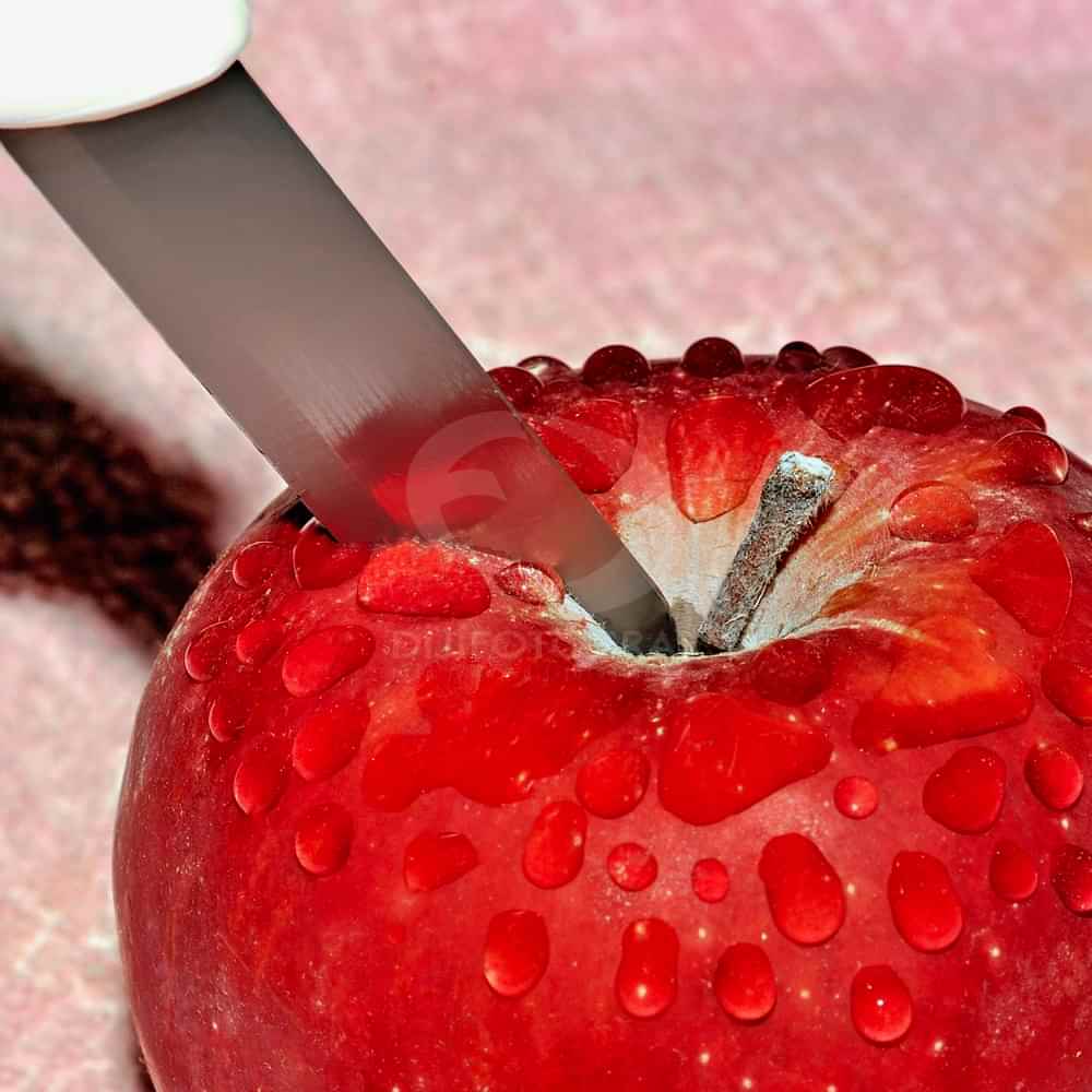 still life fotoğraf çekimi